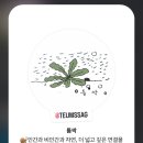 틈싹 네이버블로그