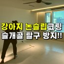 화봉유치원 | 강아지 미끄럼방지코팅 슬개골 보호한 후기 _ 더쎈논슬립