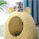 에벤에셀하우스 이미지