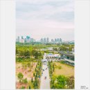 포랩 140차 정기출사 #3 세종 국립세종수목원과 금강보행교