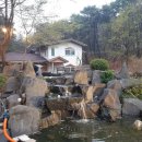 둥지별곡 이미지