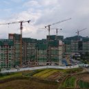 흥양천길 이미지