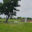 낙동강관리본부 화명생태공원 10 이미지