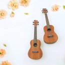 배우기 쉬운 우쿨렐레 이미지