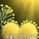 미래병원 Daum카페