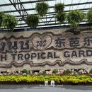 패밀리파크빌리지 | 파타야 가 볼 만한 곳 농눗빌리지 애견 동반 후기｜강아지랑 방콕 파타야 여행 EP.8