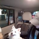 아라종합동물병원 이미지