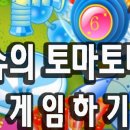 토마토마 이미지