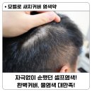 우리옷천연염색 한땀 | 모벨로 물염색약 순하고 커버력 좋아 새치염색 추천