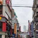 (주)크린토피아(청주지사) | 청주에 벚꽃놀이 떠나볼까? - 2026년 3월 무심천과 소로리 포스팅