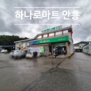 안흥파크 | 웰리힐리 숙소 근처 마트 농협 하나로마트 안흥점 이용후기