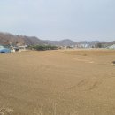신초우목장 Daum카페
