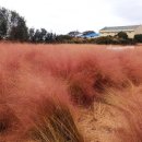 북촌벙커 이미지