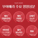 부아메라오일 함유 백세시크릿