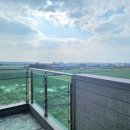 신도리-3 이미지