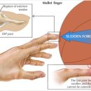 수지21세기의원 이미지