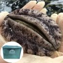 해신수산 이미지