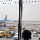 제주키즈펜션 개구리펜션 | 제주 숙소 풀빌라 키즈펜션 뜨레시옷 후기 (38개월, 4개월 아기랑)