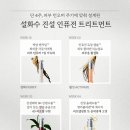 진설향 네이버블로그