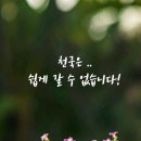미끼천국