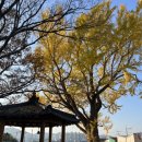 대안마을회관 이미지