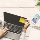 알파넷.PC 이미지