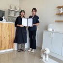 롯지네펫살롱 이미지