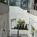 허브라인 | [강남/바인허브한의원✨] V메타쉐이프 지방분해 한방 다이어트💎 바디라인까지 달라진 이유💖