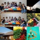 우리들푸드 이미지