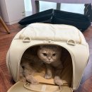 한울세탁소 이미지