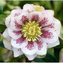 부동산전문행정사사무소 이미지