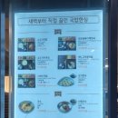 [맛집] 부산역 혼밥가능 새벽집 국밥국수 내돈내산후기