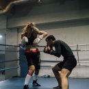 산호체육관 이미지