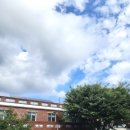 금정산성 금성 이미지