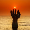 2020-주136 이미지