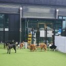 어뮤즈 호텔 이미지