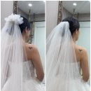 노은역 PT, 베네핏 노은점 드레스 핏이 달라지는 결혼준비 PT 후기(내돈내산)
