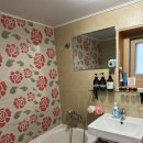 야옹이네 이미지