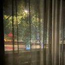 깔빠와 세명의 여자들. in SANGHAI