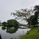 인하 CC당구클럽 | 태국골프여행 방콕골프장 람루카CC 카스카타CC 탄야CC 명문3색 방콕골프패키지 정보 라운딩후기