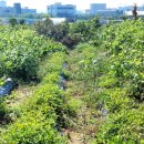 공북2리경로당 이미지