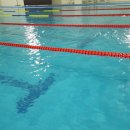 학생수영장 이미지