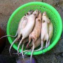 중국식품 이미지