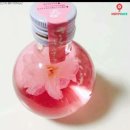 사라케이크