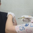 장림한서병원 이미지