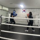 판교더복싱 이미지