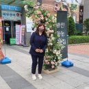리봄 Daum카페