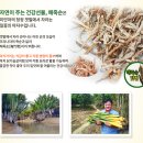 해죽순닷컴