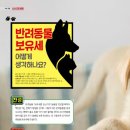 2020-주161 이미지