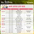 화순 가볼만한곳 2024 화순 고인돌 봄꽃축제